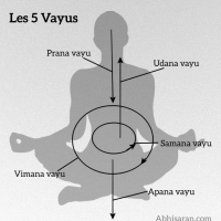 Les 5 Vayus ou les 5 vents en Yoga